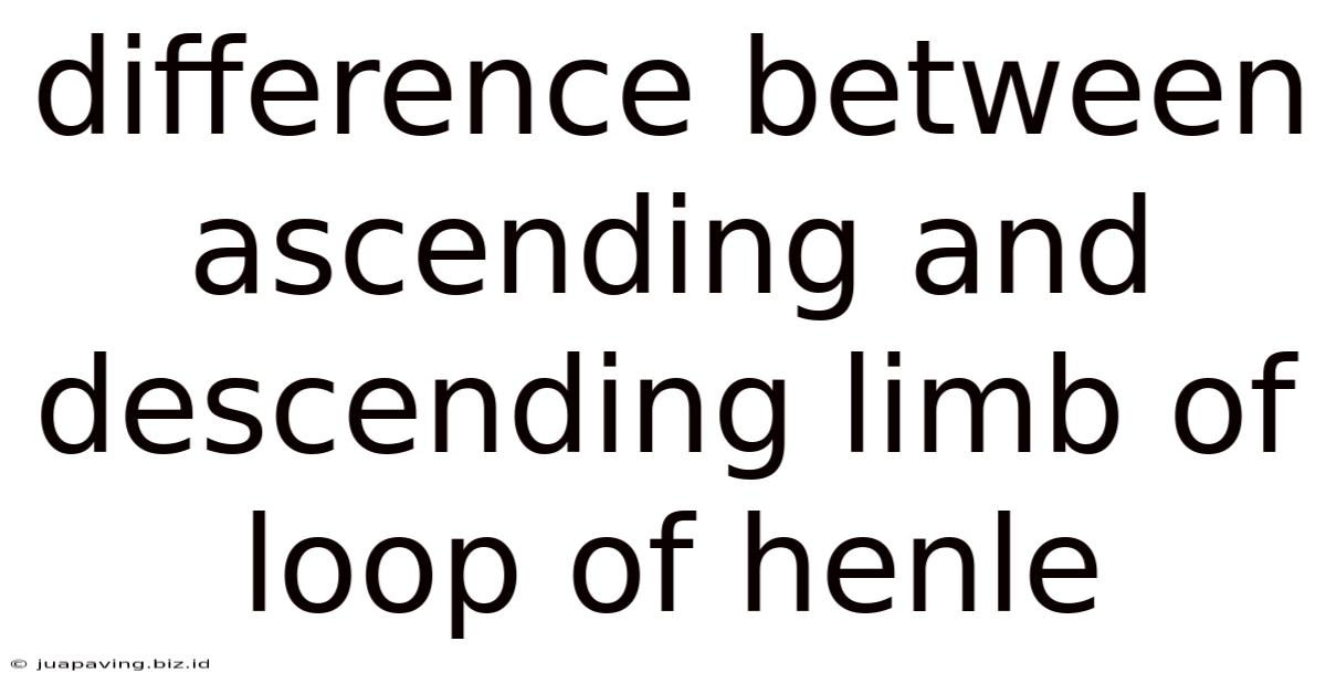 Difference Between Ascending And Descending Limb Of Loop Of Henle