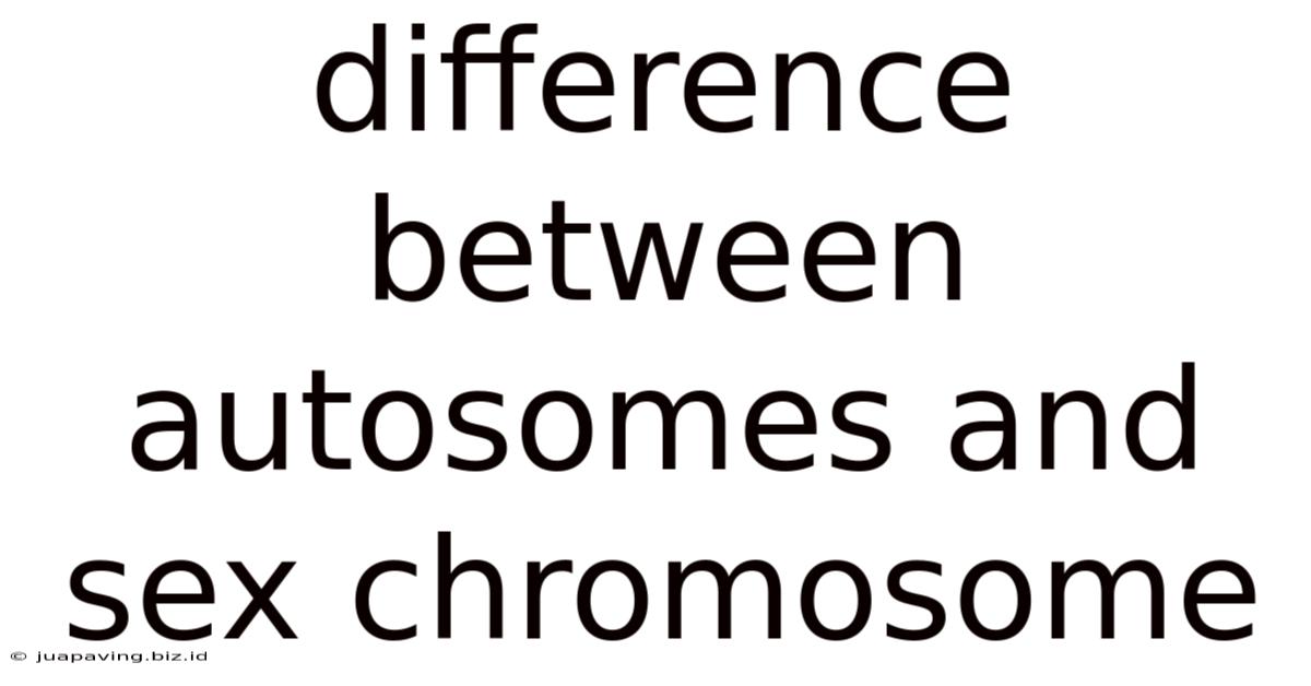 Difference Between Autosomes And Sex Chromosome