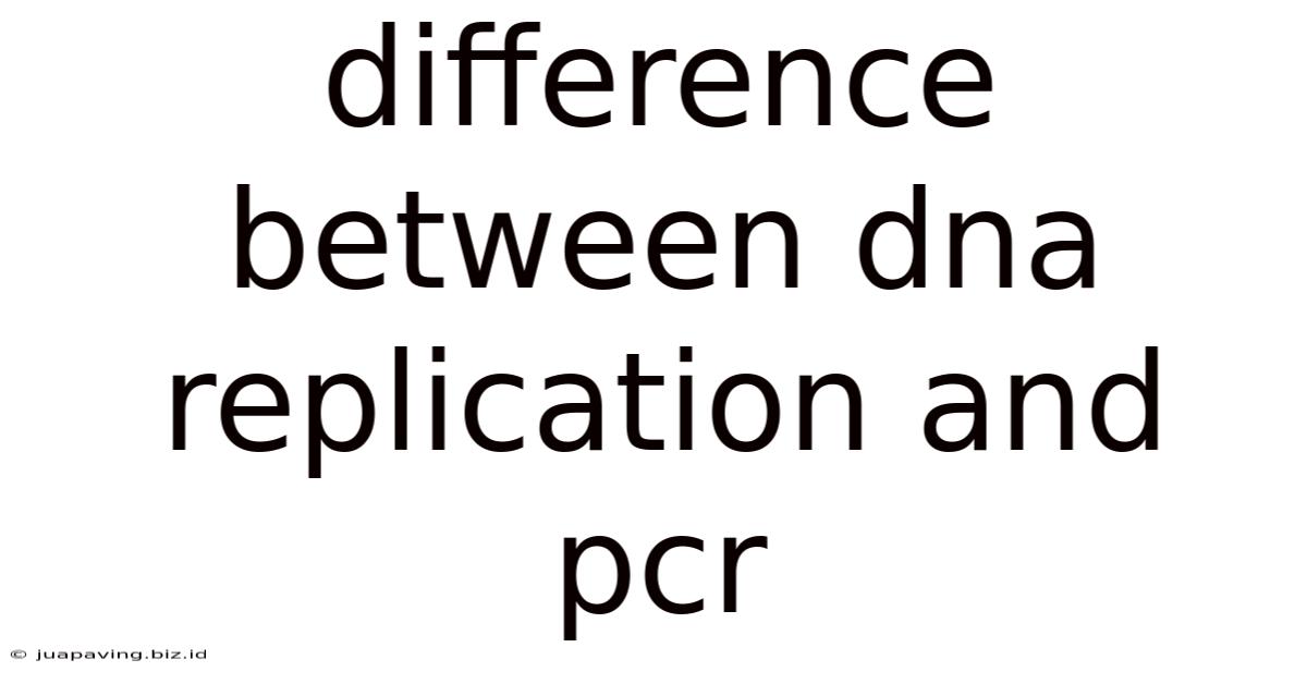 Difference Between Dna Replication And Pcr