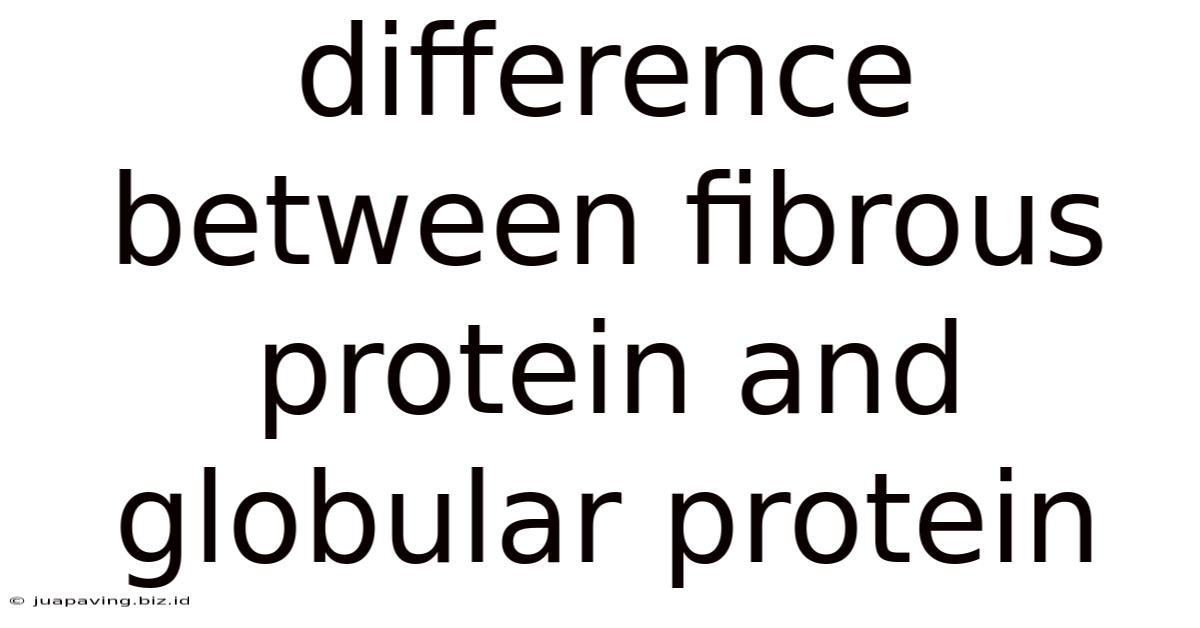 Difference Between Fibrous Protein And Globular Protein