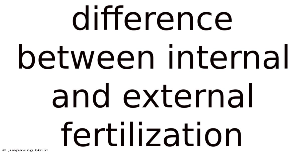 Difference Between Internal And External Fertilization