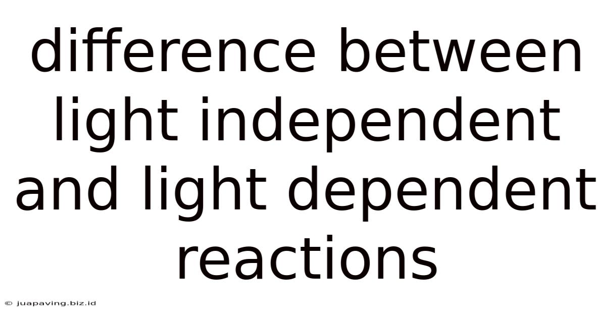 Difference Between Light Independent And Light Dependent Reactions