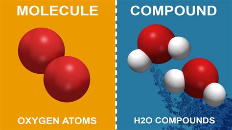 Difference Between Molecule And Compound With Examples