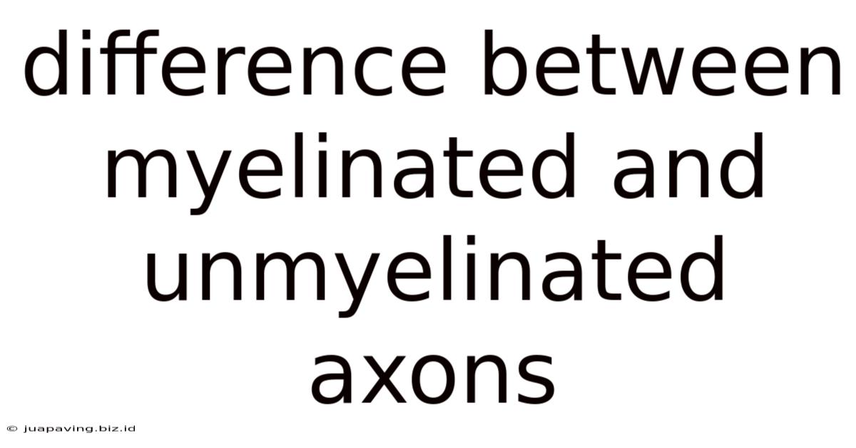 Difference Between Myelinated And Unmyelinated Axons