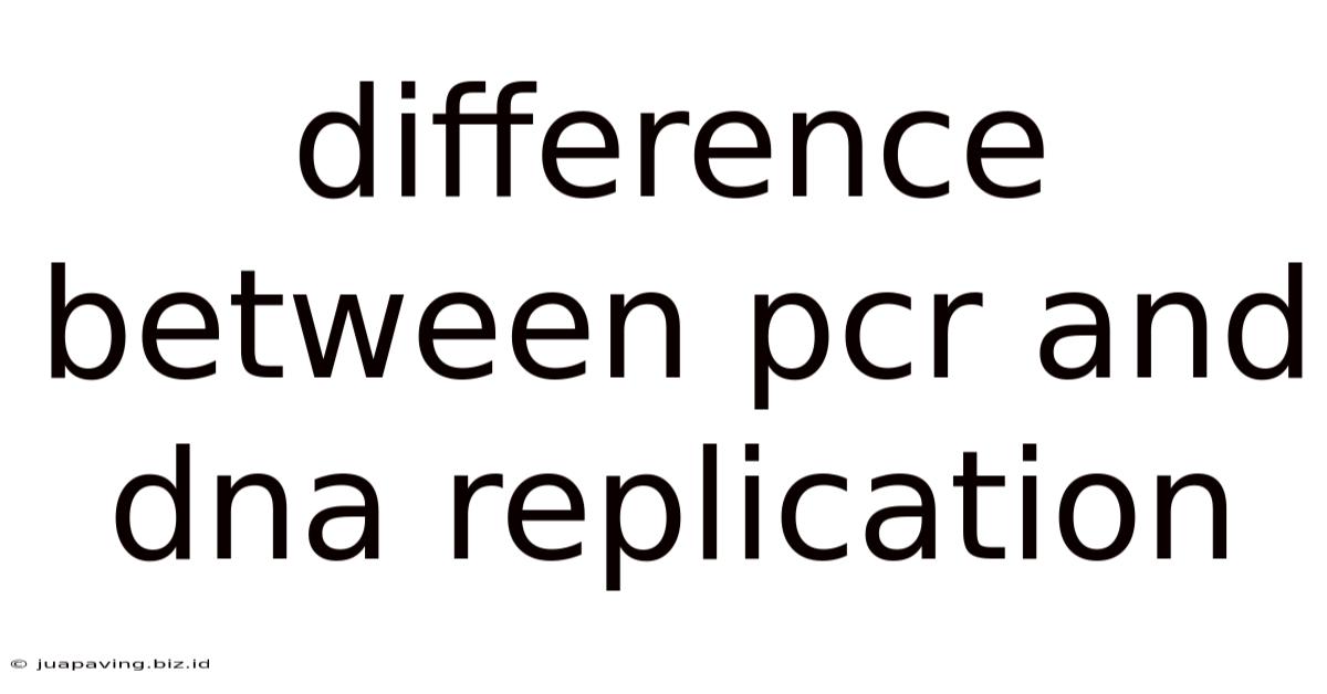Difference Between Pcr And Dna Replication
