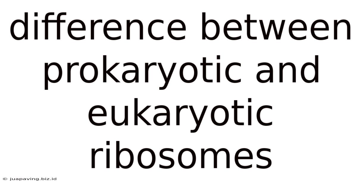 Difference Between Prokaryotic And Eukaryotic Ribosomes