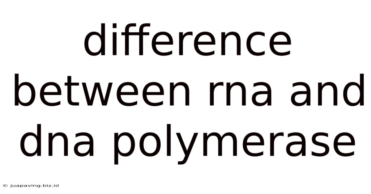 Difference Between Rna And Dna Polymerase