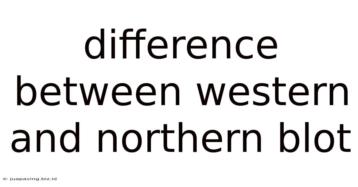 Difference Between Western And Northern Blot