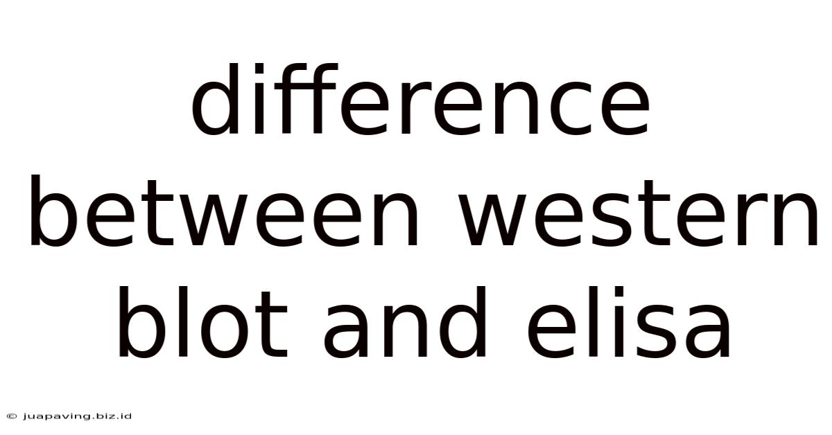 Difference Between Western Blot And Elisa