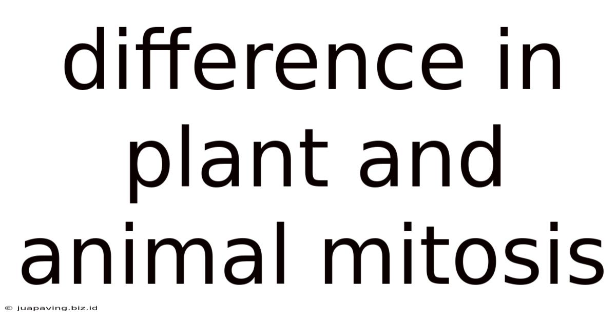 Difference In Plant And Animal Mitosis