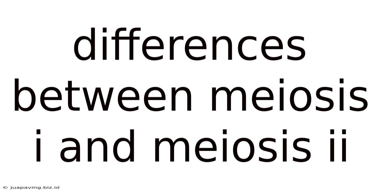 Differences Between Meiosis I And Meiosis Ii