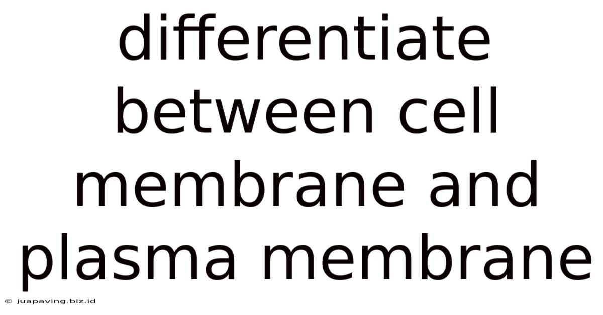 Differentiate Between Cell Membrane And Plasma Membrane