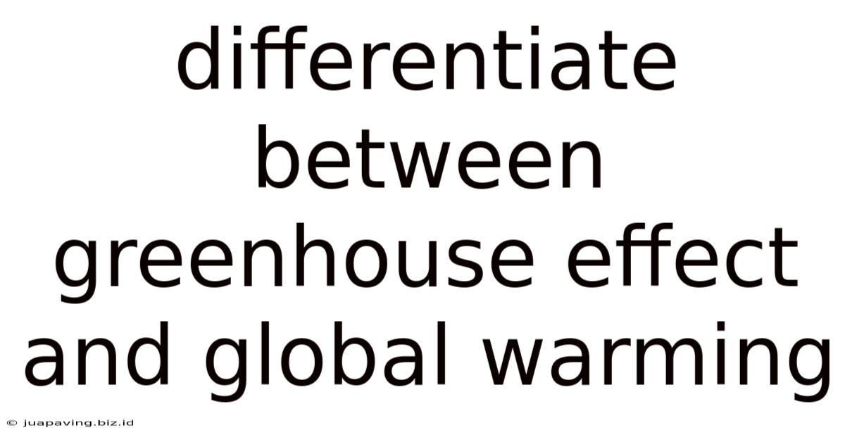 Differentiate Between Greenhouse Effect And Global Warming