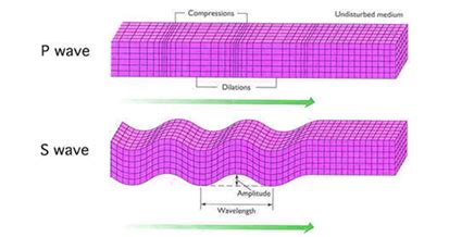 Differentiate Between P Waves And S Waves