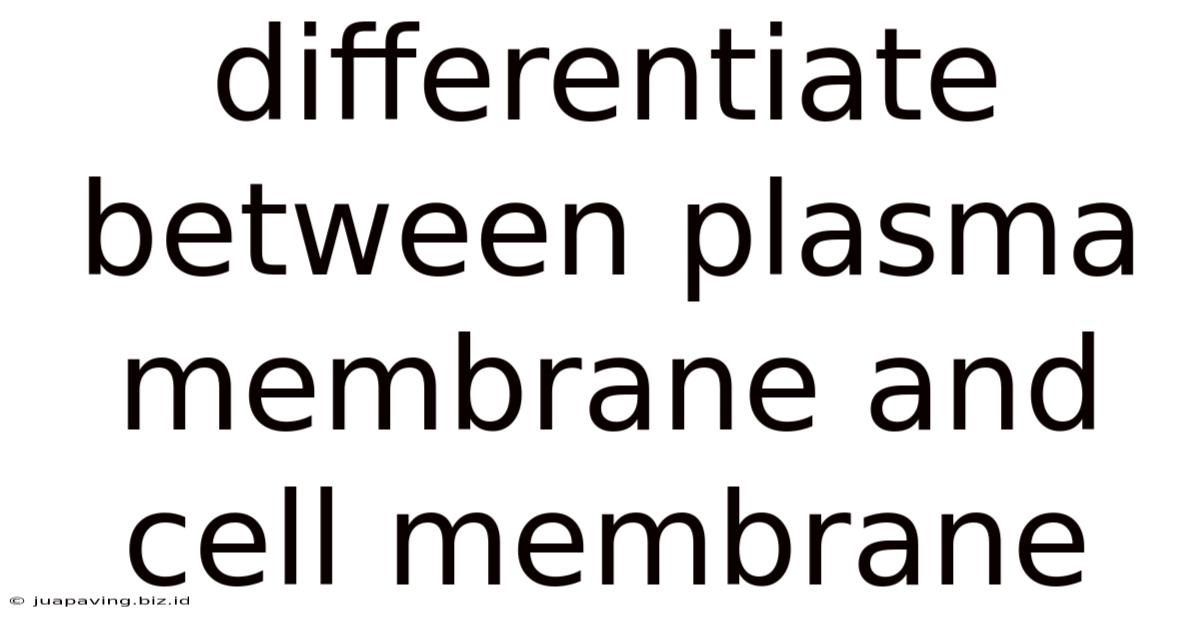 Differentiate Between Plasma Membrane And Cell Membrane