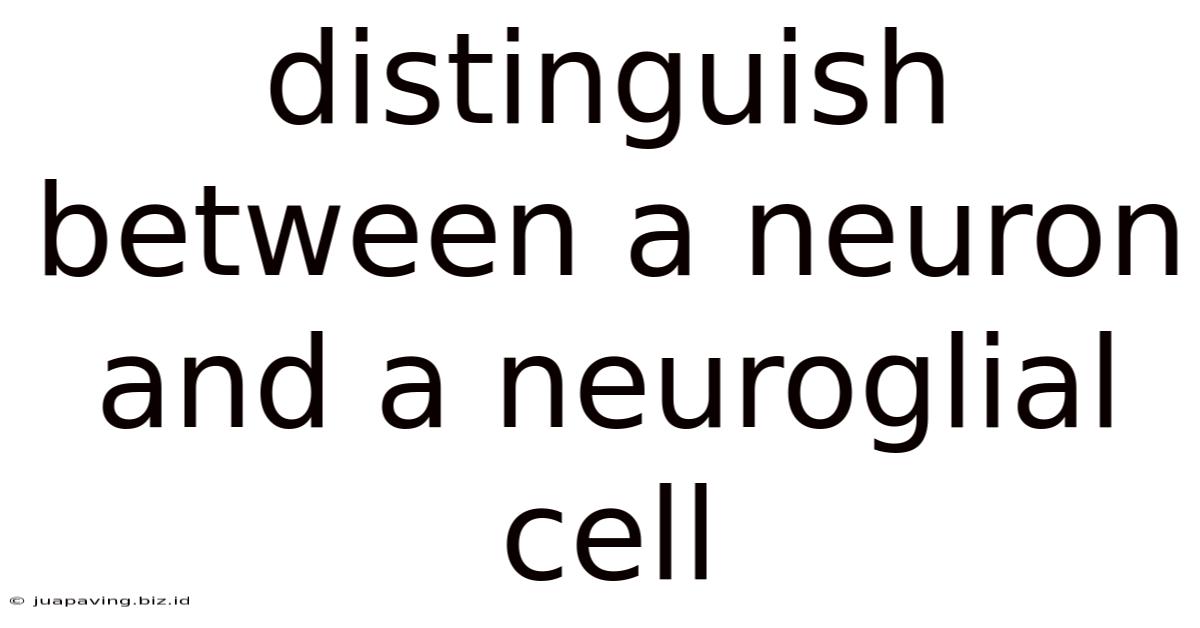 Distinguish Between A Neuron And A Neuroglial Cell