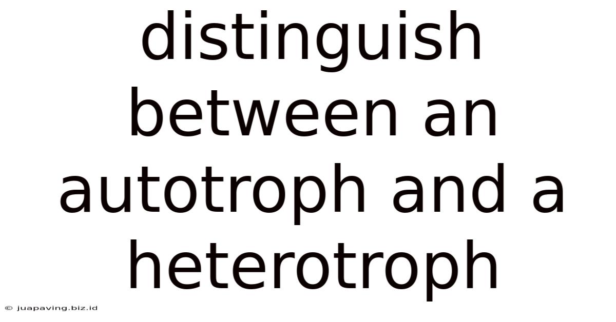 Distinguish Between An Autotroph And A Heterotroph