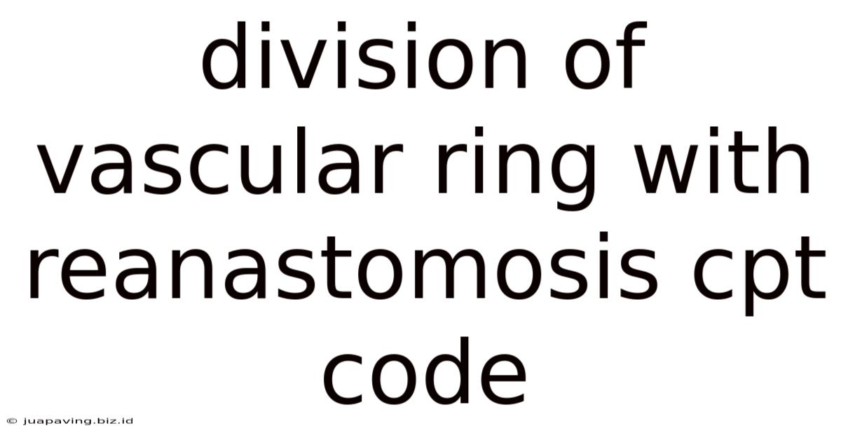 Division Of Vascular Ring With Reanastomosis Cpt Code