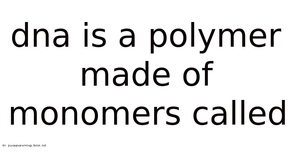 Dna Is A Polymer Made Of Monomers Called