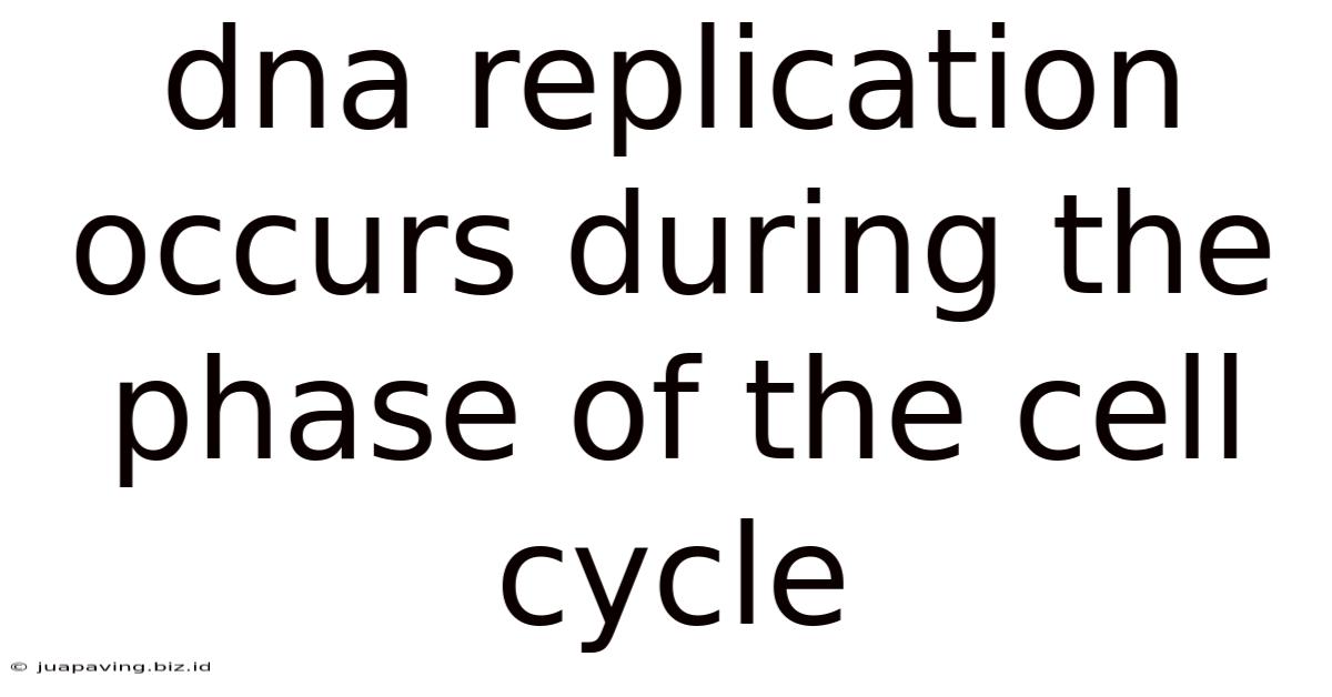 Dna Replication Occurs During The Phase Of The Cell Cycle