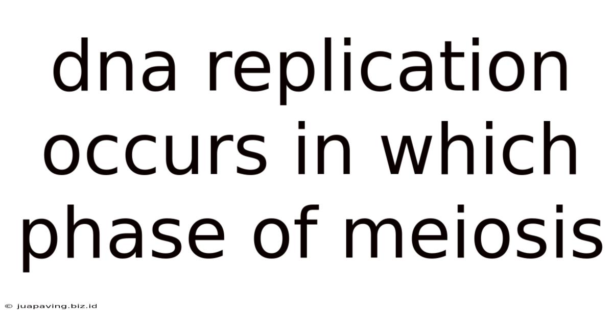 Dna Replication Occurs In Which Phase Of Meiosis