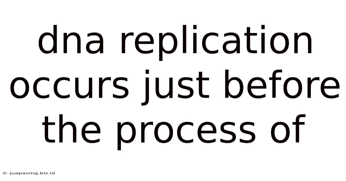 Dna Replication Occurs Just Before The Process Of