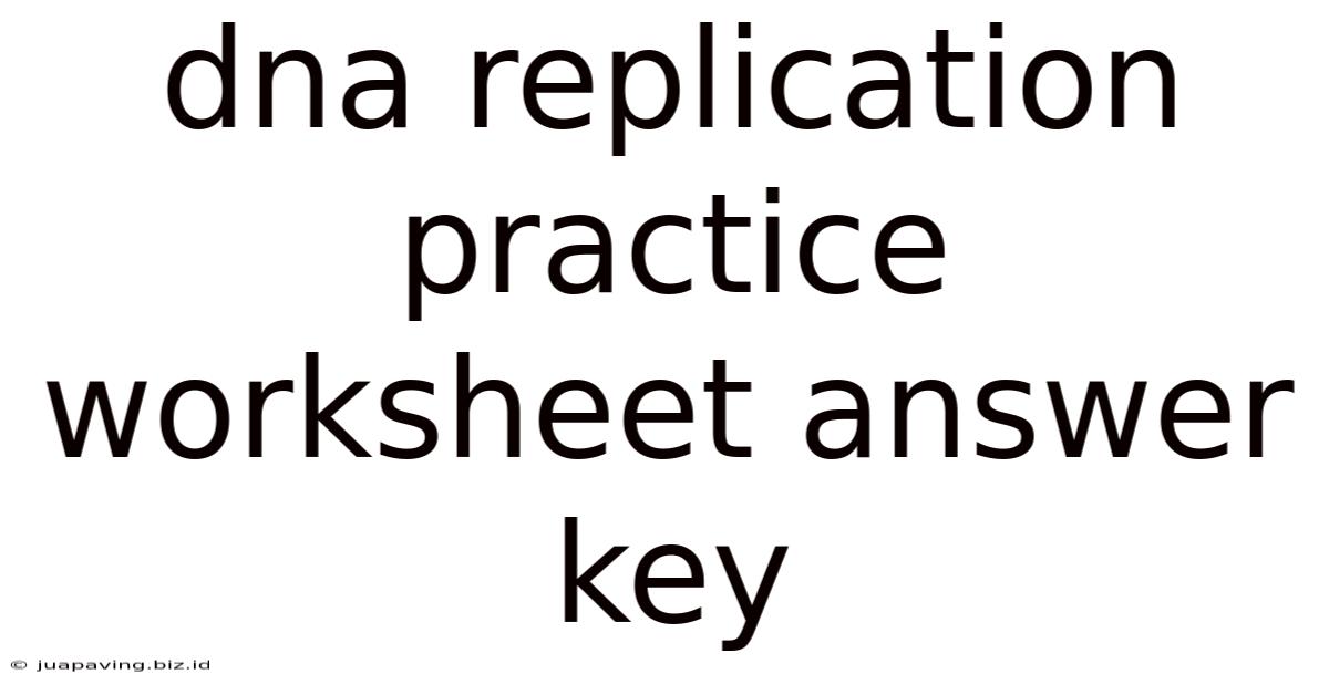 Dna Replication Practice Worksheet Answer Key