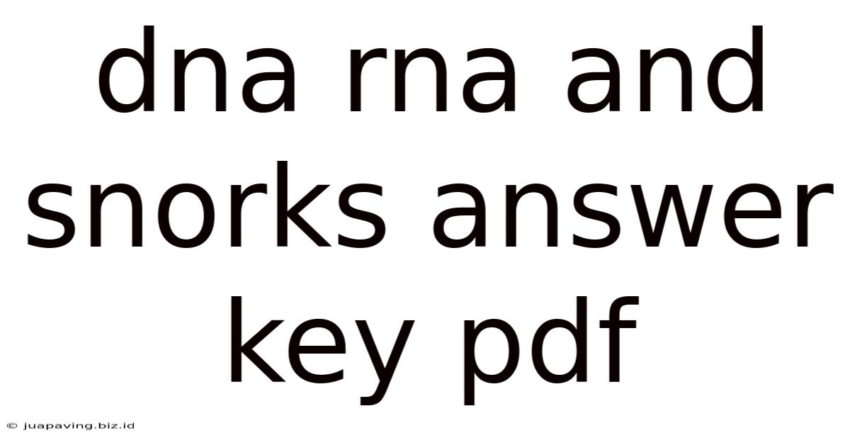Dna Rna And Snorks Answer Key Pdf
