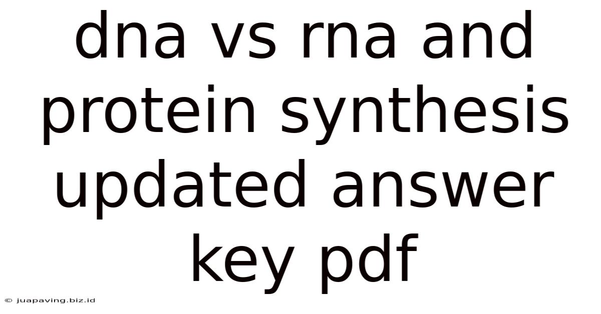 Dna Vs Rna And Protein Synthesis Updated Answer Key Pdf