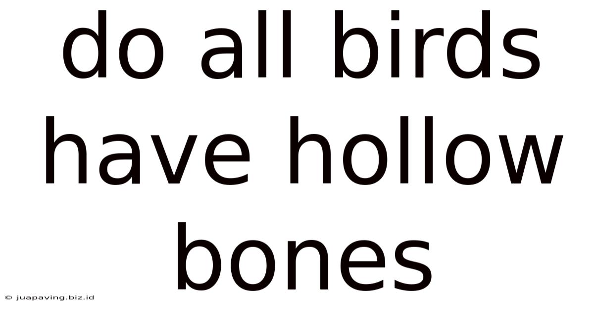 Do All Birds Have Hollow Bones