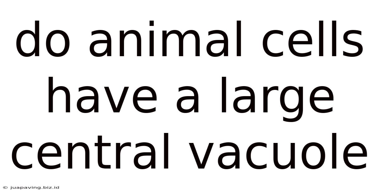 Do Animal Cells Have A Large Central Vacuole
