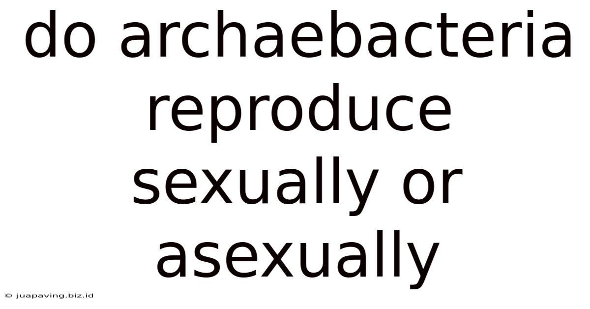Do Archaebacteria Reproduce Sexually Or Asexually