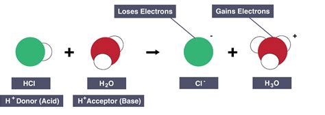 Do Bases Accept Or Donate Protons