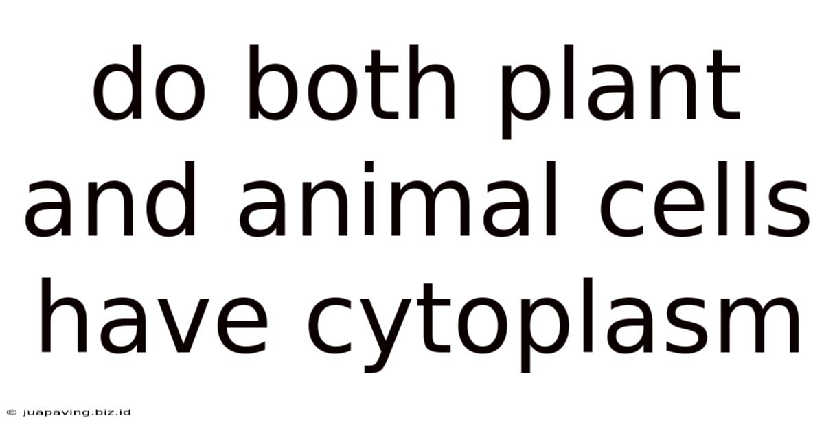 Do Both Plant And Animal Cells Have Cytoplasm