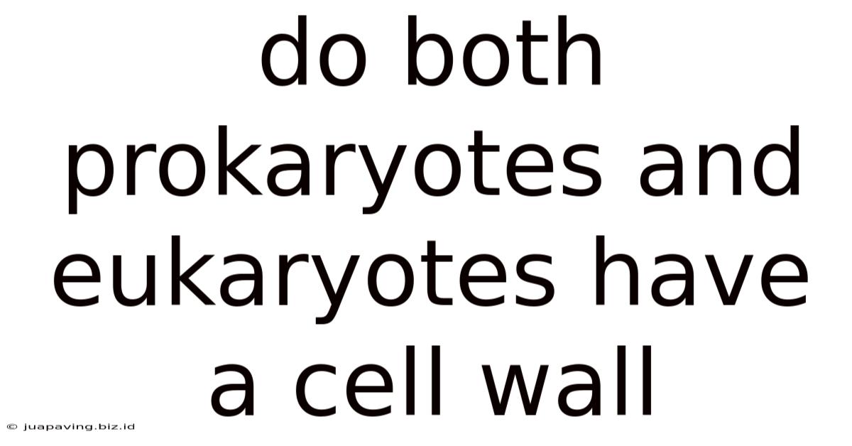 Do Both Prokaryotes And Eukaryotes Have A Cell Wall