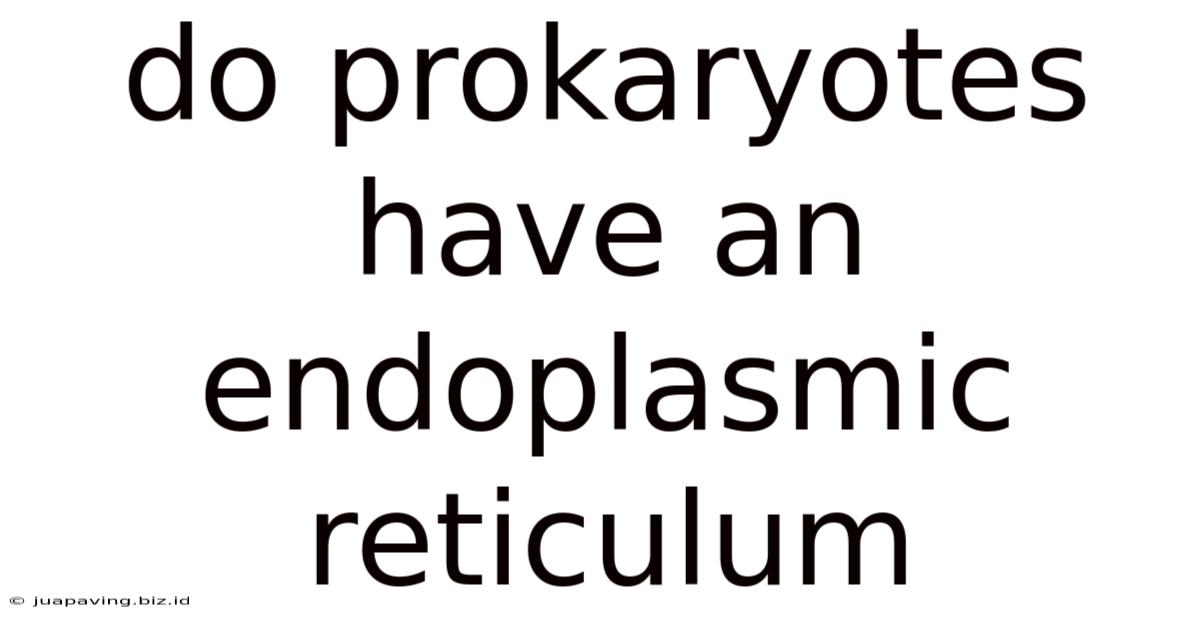 Do Prokaryotes Have An Endoplasmic Reticulum