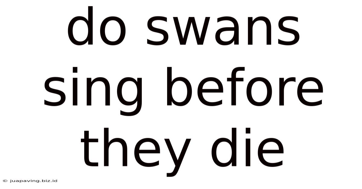Do Swans Sing Before They Die