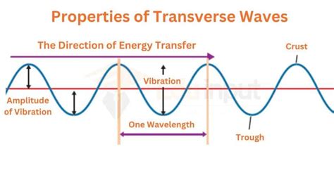 Do Transverse Waves Need A Medium