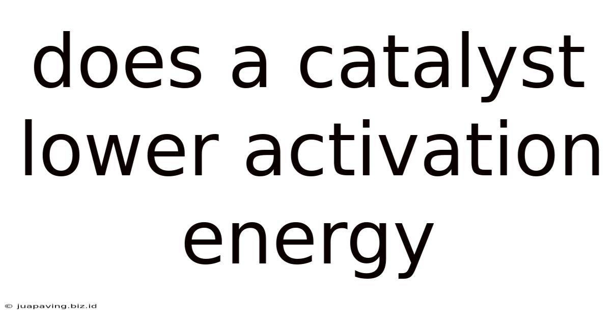 Does A Catalyst Lower Activation Energy