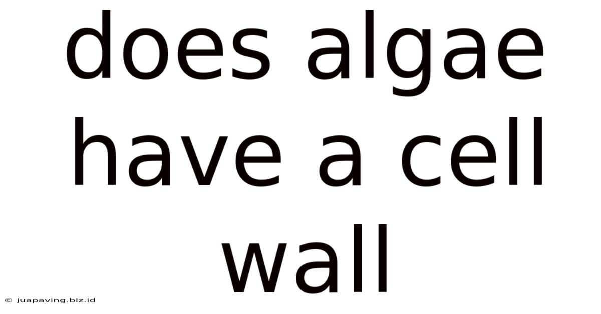 Does Algae Have A Cell Wall