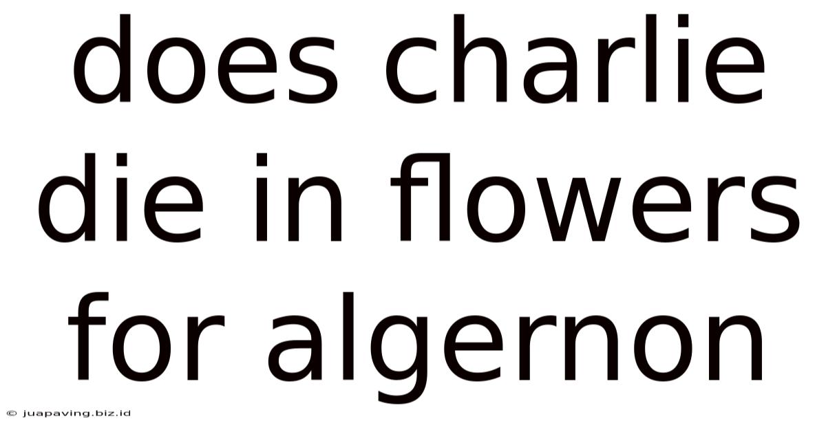 Does Charlie Die In Flowers For Algernon