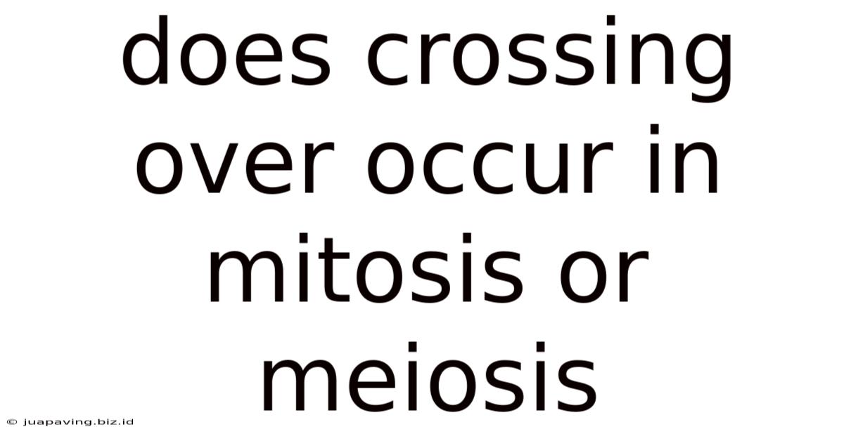 Does Crossing Over Occur In Mitosis Or Meiosis