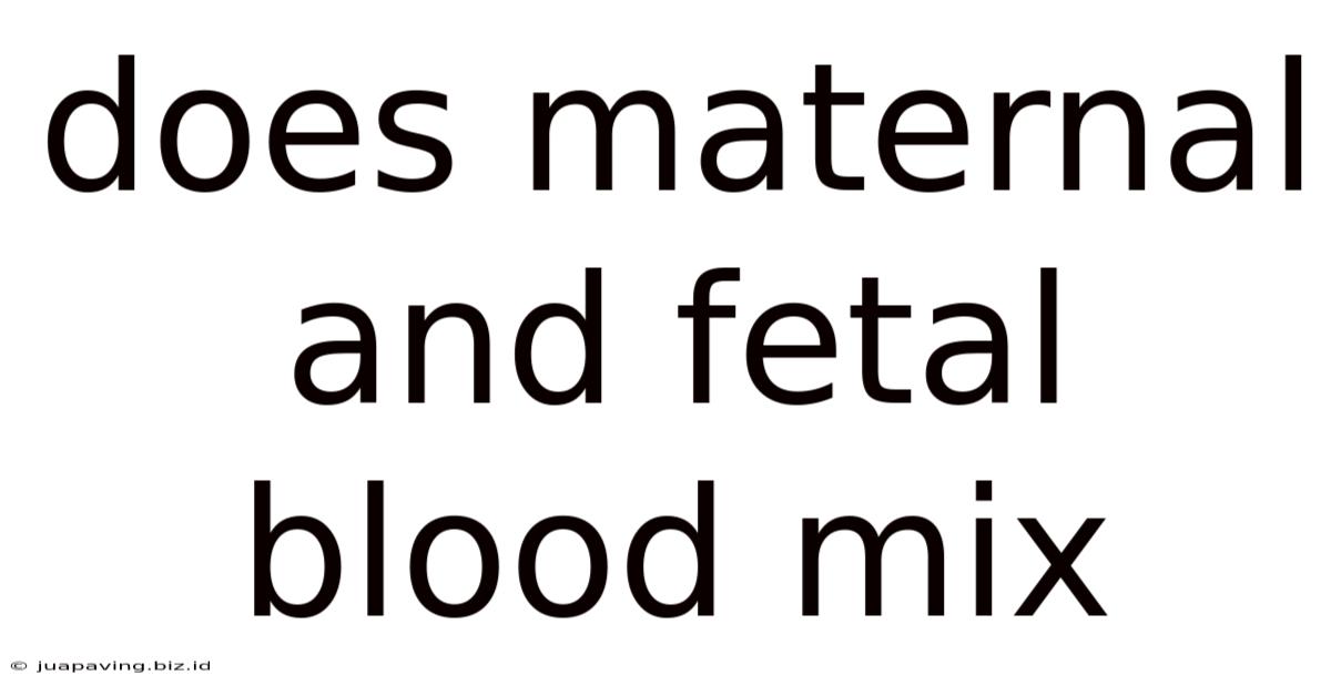 Does Maternal And Fetal Blood Mix