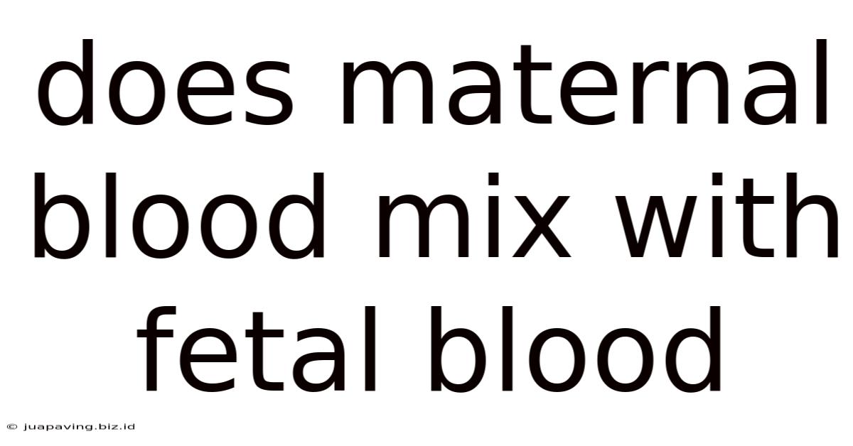 Does Maternal Blood Mix With Fetal Blood