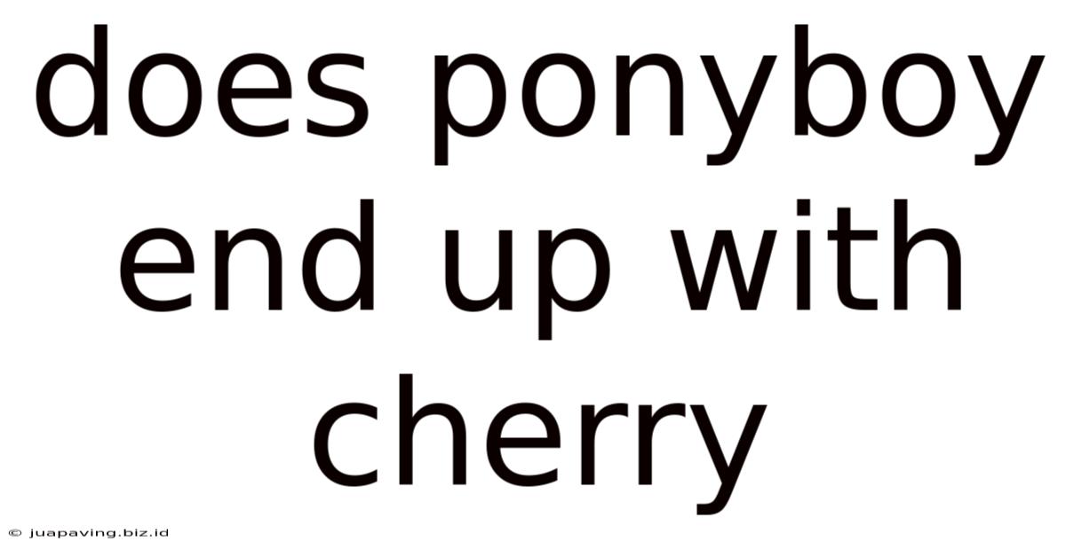 Does Ponyboy End Up With Cherry