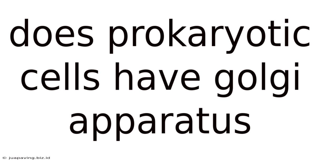 Does Prokaryotic Cells Have Golgi Apparatus