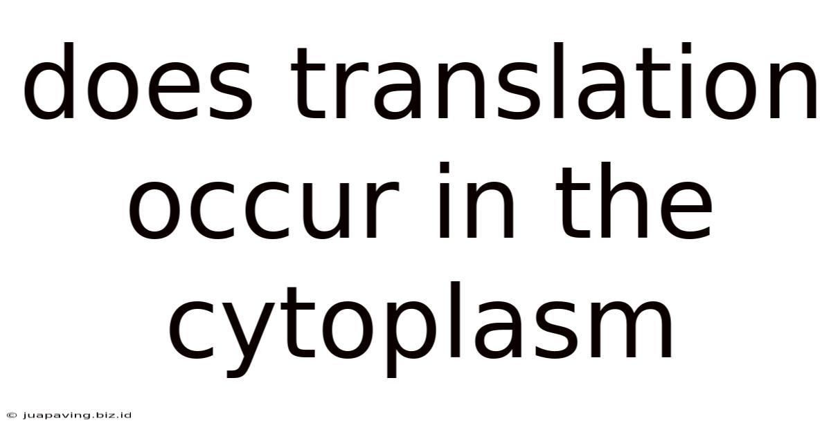 Does Translation Occur In The Cytoplasm