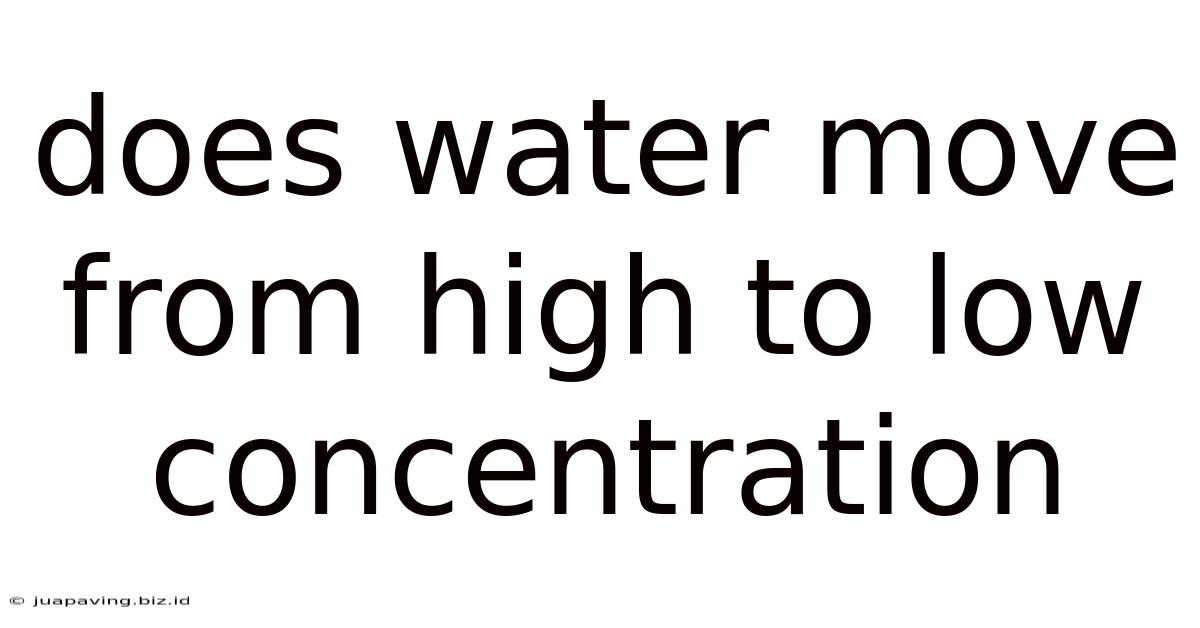 Does Water Move From High To Low Concentration