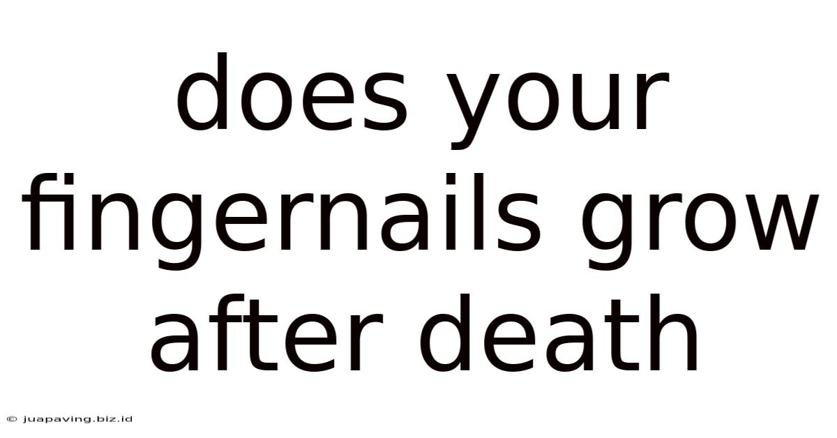 Does Your Fingernails Grow After Death