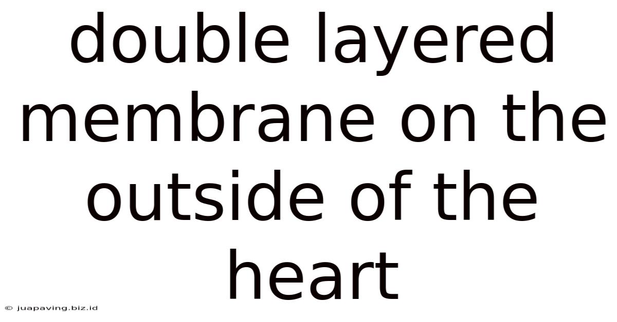 Double Layered Membrane On The Outside Of The Heart